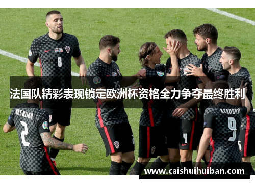 法国队精彩表现锁定欧洲杯资格全力争夺最终胜利