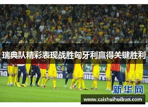 瑞典队精彩表现战胜匈牙利赢得关键胜利
