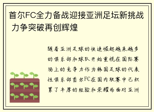首尔FC全力备战迎接亚洲足坛新挑战 力争突破再创辉煌