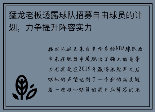 猛龙老板透露球队招募自由球员的计划，力争提升阵容实力