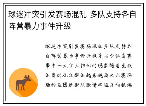 球迷冲突引发赛场混乱 多队支持各自阵营暴力事件升级